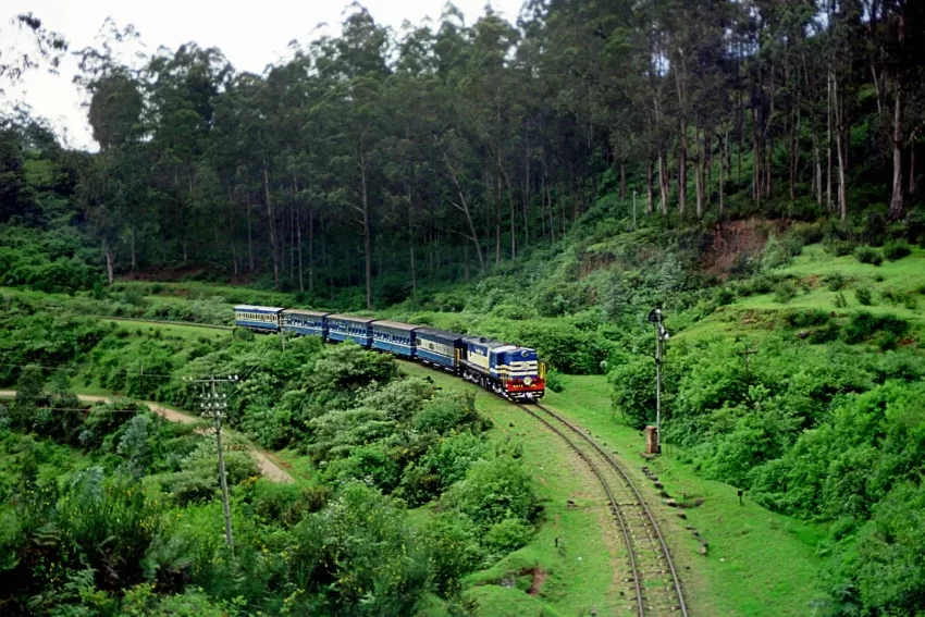 Ooty tour package